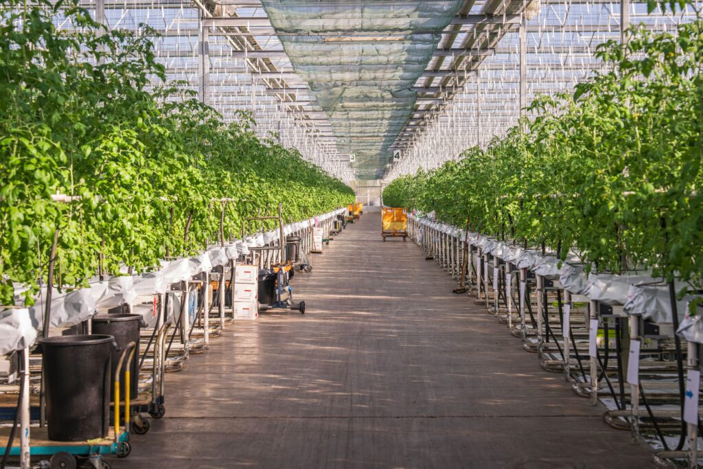 Smart hydroponic systems