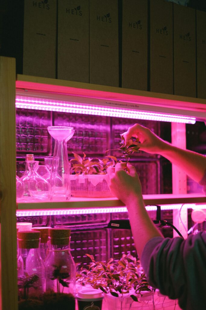 GROW LIGHT