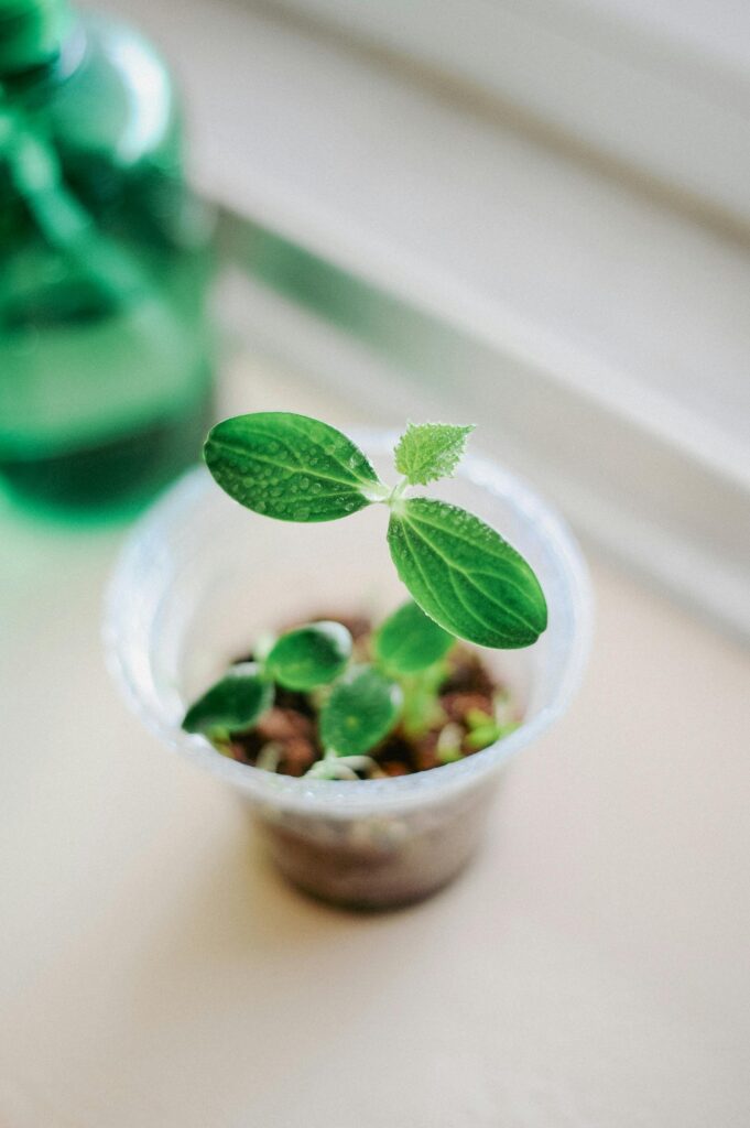 Kratky Systems